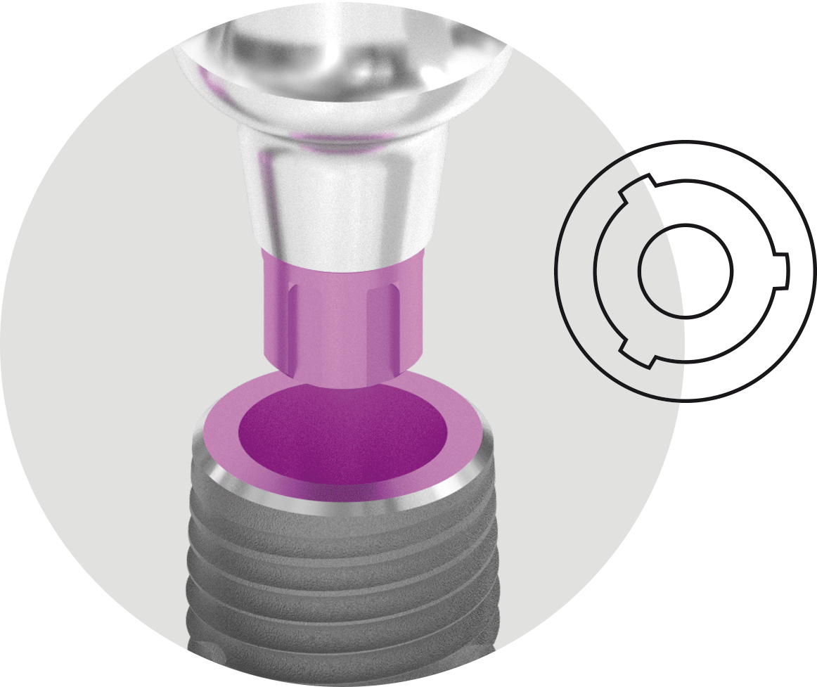 Corticon Conical Connection, with 3 cam shapes