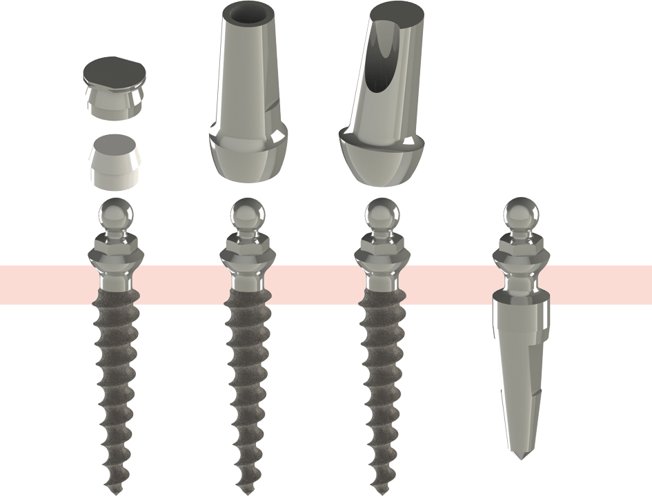 The abutments of the Conefit Slim round head: ot-cap cap, anatomical heads( straight and oblique) , technical implant.