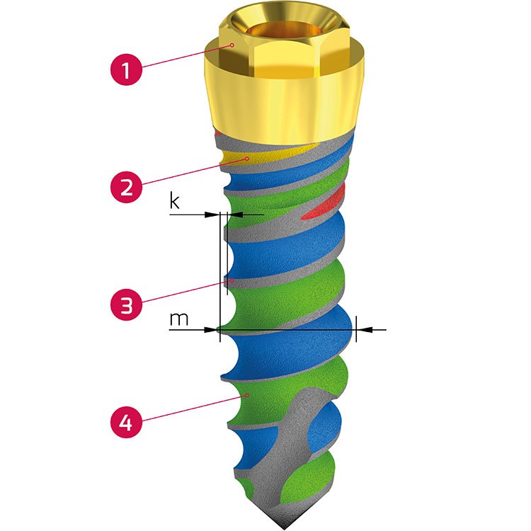 The introduction of the Hybrid two-paragraphed cord threaded design with colour marks.