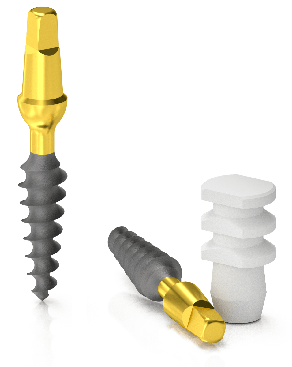 BIONIKA Slim Flexible Implantációs Rendszer