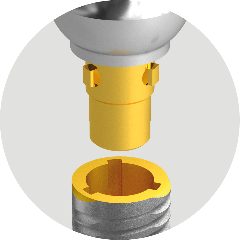 The Camlog® type connection of Cortilog.