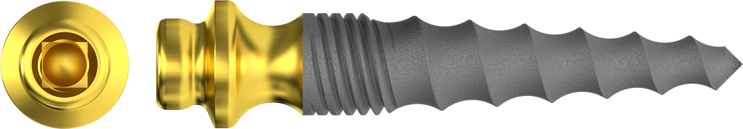Microlock implants with special connection.