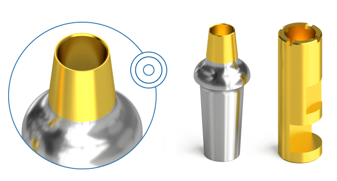 BIONIKA COMPATIBLE CA Implant System - Ankylos - connection