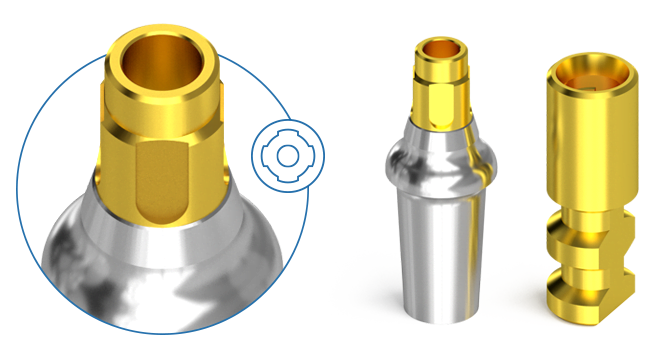 BIONIKA COMPATIBLE BL Implant System - Straumann BoneLevel - connection