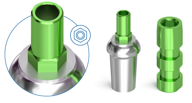 BIONIKA COMPATIBLE DT Implant System- Denti - connection
