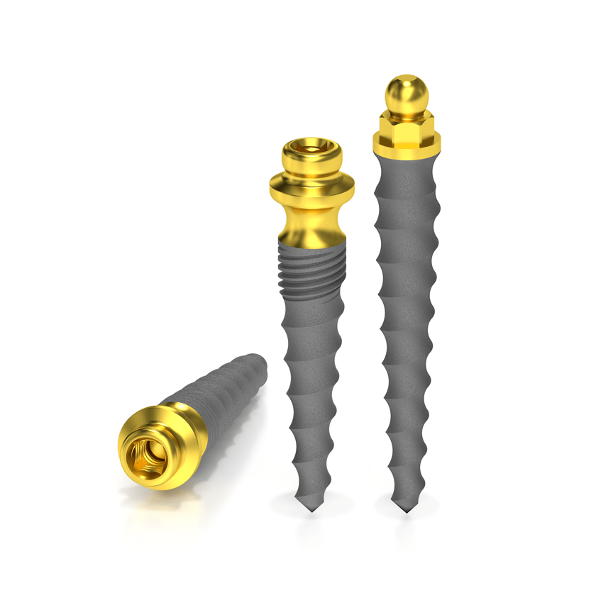 Slim BG és Microlock, hasonló implantátumtesttel, de különböző fejkialakítással.