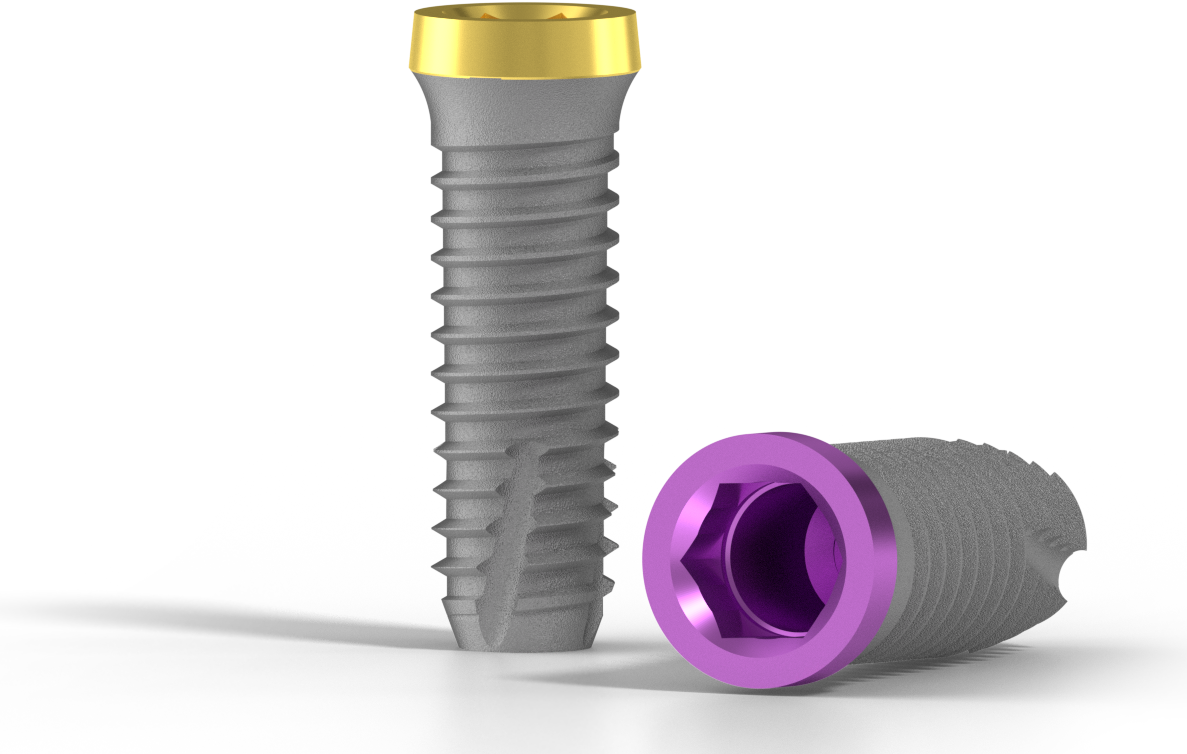 BONELIT kétfázisú implantátum, BONELIT implantátum rendszer