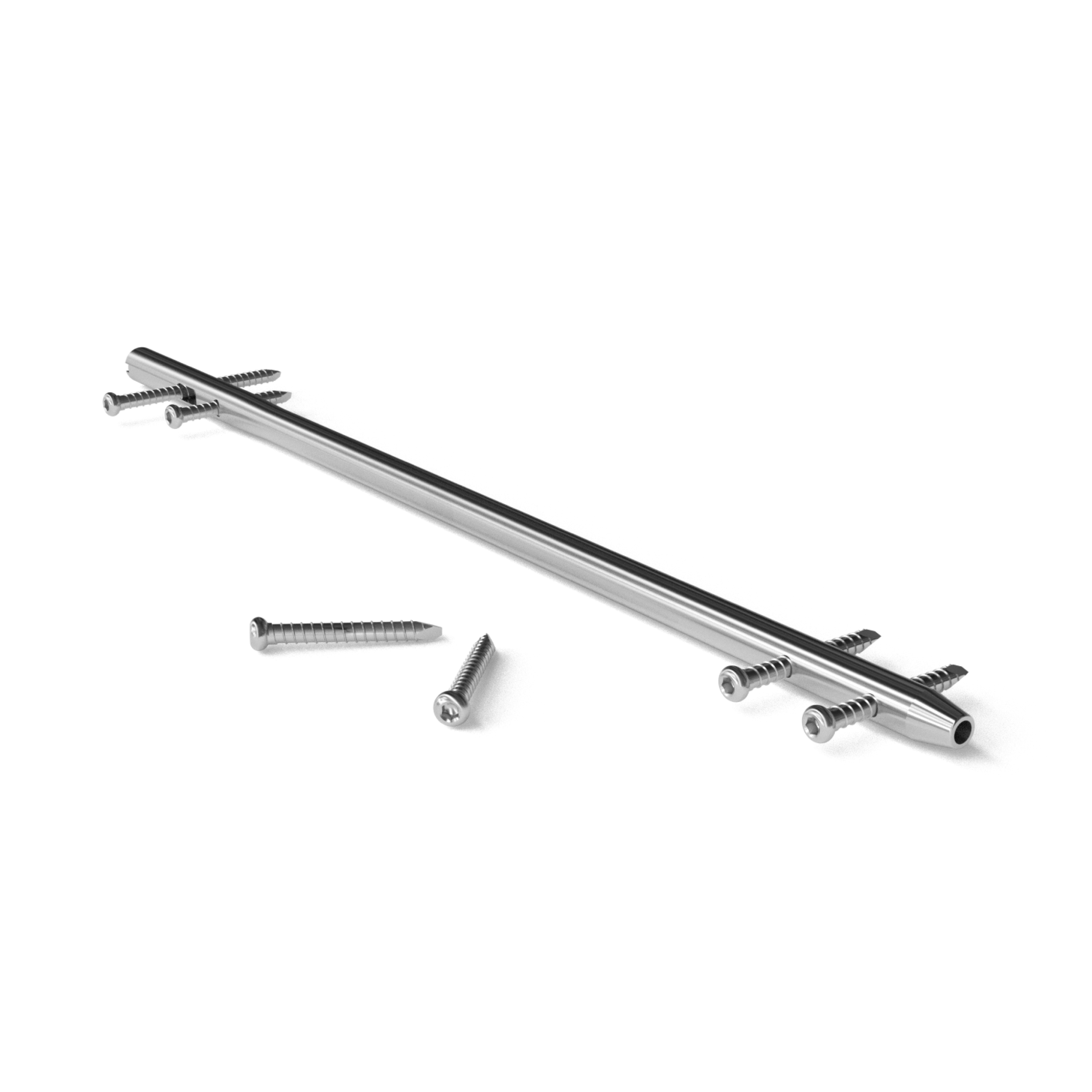 bfn-femur
